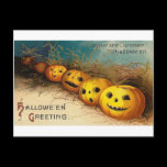 Pumpkin Row - Curioser and Curioser Postcard