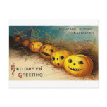 Pumpkin Row - Curioser and Curioser Postcard
