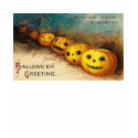 Pumpkin Row - Curioser and Curioser shirt