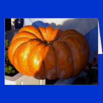 Pumpkin Santorini Greece cards