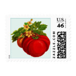 Pumpkin Season Postage