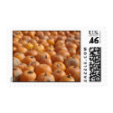 Pumpkin Stamps