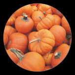 Pumpkin Sticker