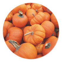 Pumpkin Sticker