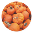 Pumpkin Sticker