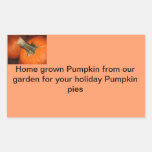 Pumpkin Stickers