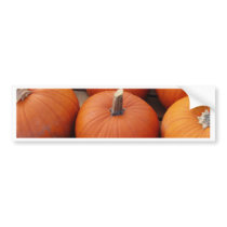Pumpkin Time bumper stickers by Debrene Pumpkin Time bumper stickers