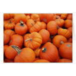 Pumpkin Time Cards