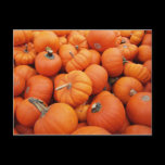 Pumpkin Time Postcards