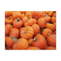 Pumpkin Time Postcards