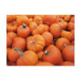 Pumpkin Time Postcards