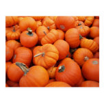 Pumpkin Time Postcards