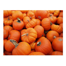 Pumpkin Time Postcards