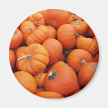 Pumpkin Time Refrigerator Magnet