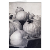 Pumpkin Wagon cards