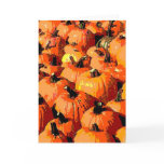 pumpkinpatch cards