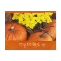 Pumpkins 2 - Happy Thanksgiving postcards