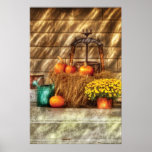 Pumpkins - A still life with pumpkins Posters