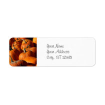 Pumpkins Address Label labels