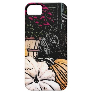 Pumpkins and Mum Autumn Picture iPhone 5 Cases