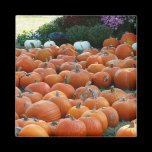 Pumpkins and Mums Magnet