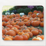 Pumpkins and Mums Mousepad