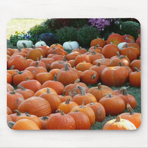 Pumpkins and Mums Mousepad