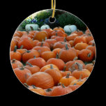 Pumpkins and Mums Ornament