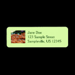 Pumpkins and Mums Return Address Label