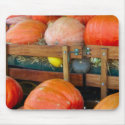 Pumpkins and Squash mousepads