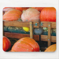 Pumpkins and Squash mousepads