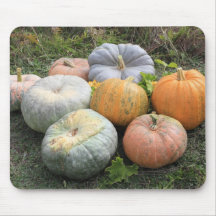 Pumpkins and Squashes Mouse Pad
