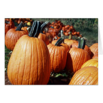 Pumpkins Card