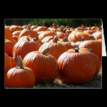 Pumpkins Card