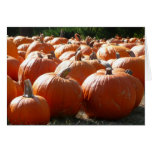 Pumpkins Card