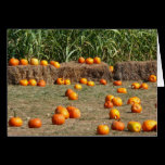 Pumpkins, Corn and Hay Card