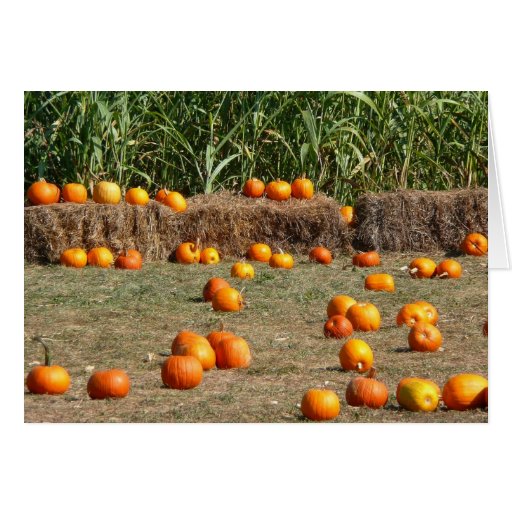 Pumpkins, Corn and Hay Card