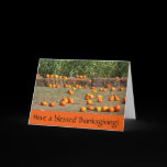 Pumpkins, Corn and Hay Thanksgiving Card