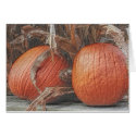 Pumpkins Digital Pencil Art Photo Note Card