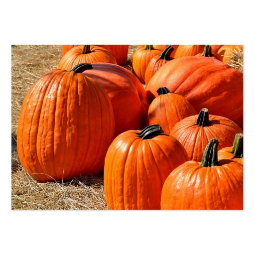 pumpkins for sale business card template (front side)