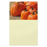 pumpkins for sale flyers
