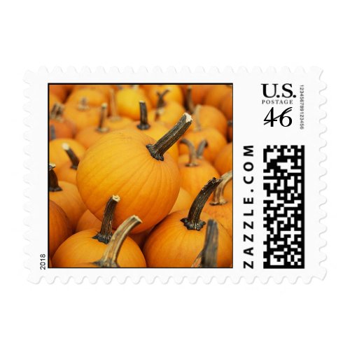 pumpkins in a pumpkin patch stamp