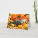 Pumpkins in Fall Leaves card card