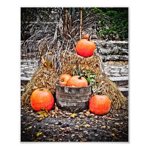 Pumpkins in Quebec photoenlargement
