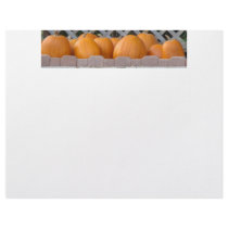 Pumpkins & Lattice letterhead
