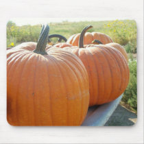 Pumpkins mousepads