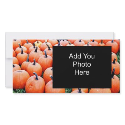 Pumpkins photo cards