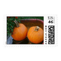 Pumpkins Postage Stamp