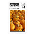 Pumpkins stamp