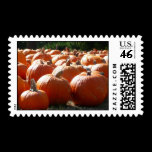 Pumpkins Postage
